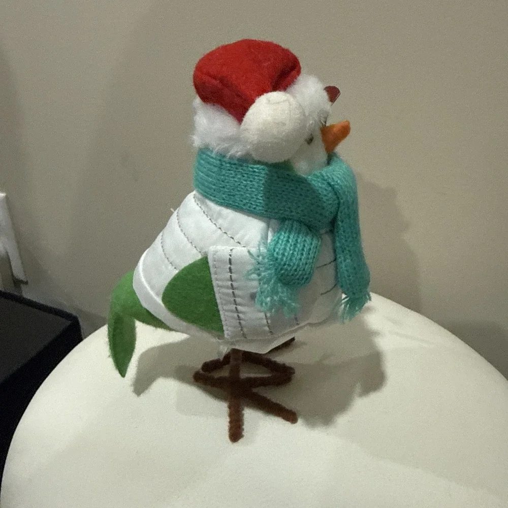 Target Wondershop 2020 Bird Featherly Friends Powell Christmas Holiday Ski Ret